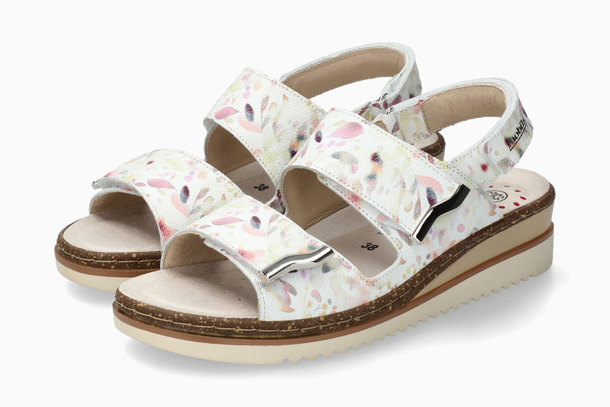 Darcie - Multicolored | M8SE