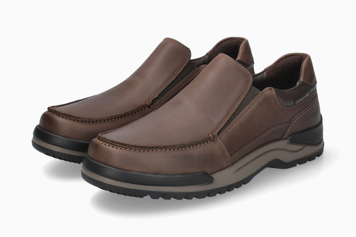 Cliford - Dark Brown | MOL8